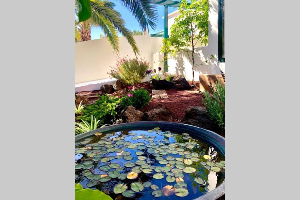 Unique, Stylish & Calm El Estanque By The Sea, Adults Only Villa Costa Teguise Kültér fotó
